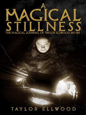 cover image of A Magical Stillness